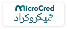 Asset 45micro